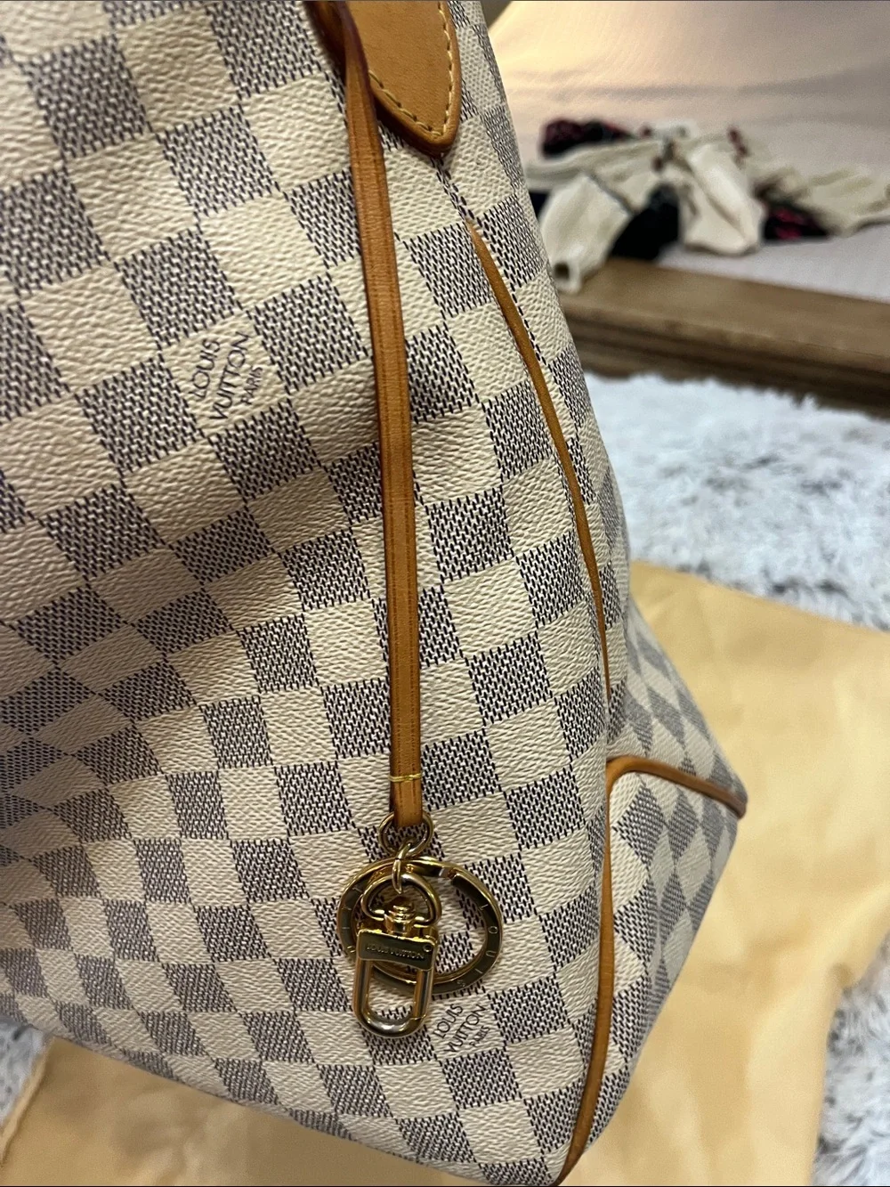Louis Vuitton classic louis